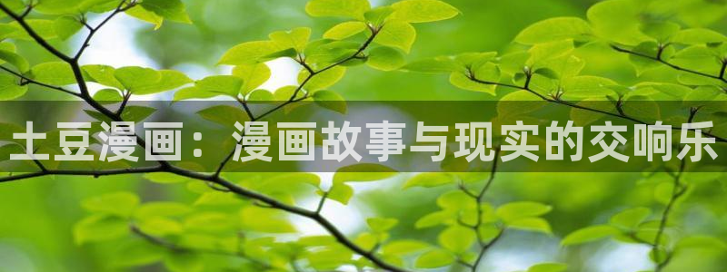 虫虫漫画51漫画免费观看