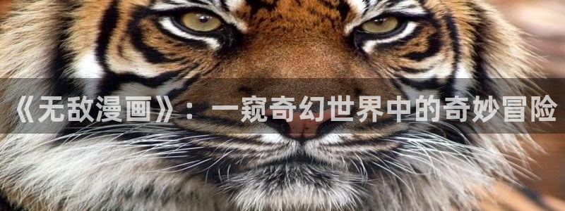 虫虫漫画在线阅读下拉式免费