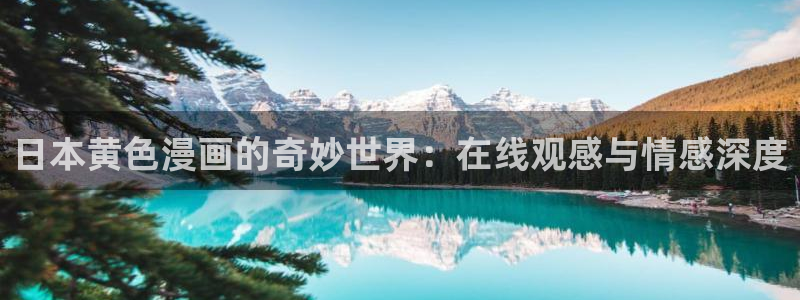 汗汗歪歪虫虫