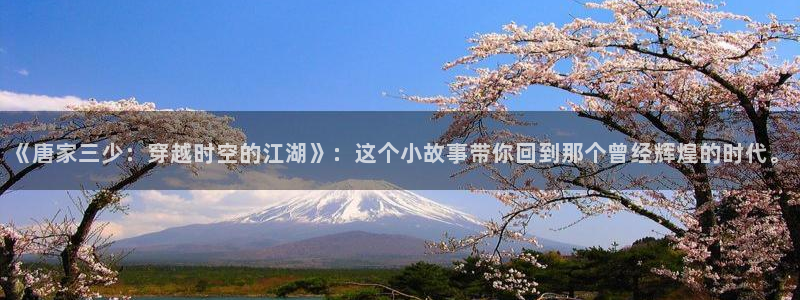 虫虫漫画网