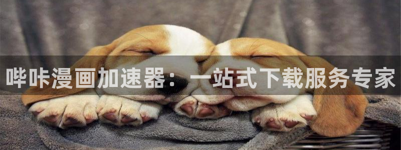 虫虫系列漫画免费阅读：哔咔漫画加速器：一站式下载服务专家