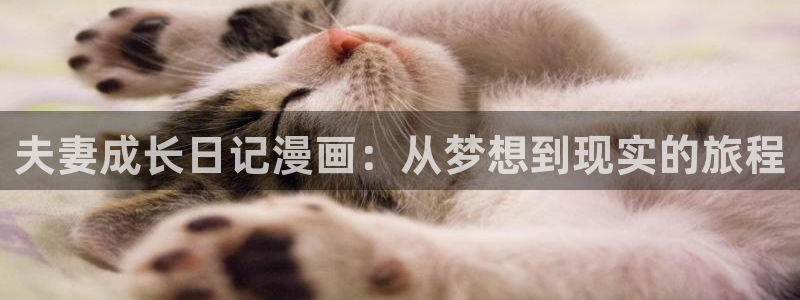 虫虫漫画免费阅读看漫画下拉：夫妻成长日记漫画：从梦想到现实的旅程