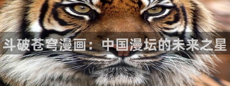虫虫漫画在线：斗破苍穹漫画：中国漫坛的未来之星