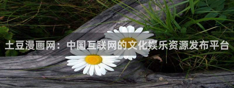 虫虫漫画下拉式漫画星球：土豆漫画网：中国互联网的文化娱乐资源发布平台