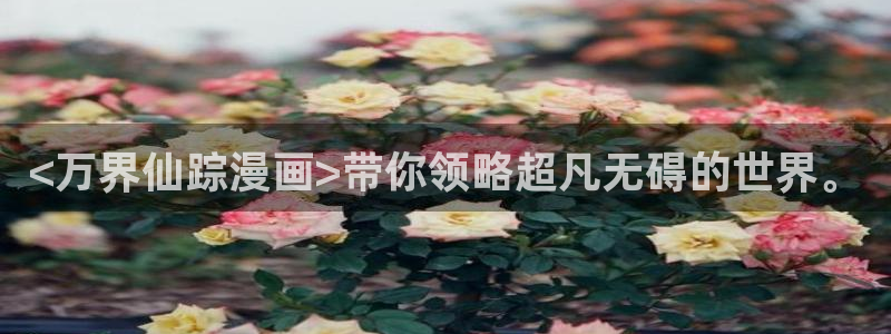 虫虫漫画登录页面入口在线阅读：<万界仙踪漫画>带你领略超凡无碍的世界。