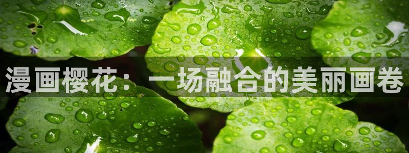 虫虫漫画免费观看入口：漫画樱花：一场融合的美丽画卷