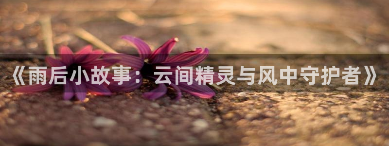 虫虫漫画无限金币破解版：《雨后小故事：云间精灵与风中守护者》