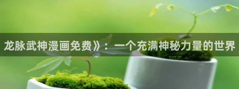 虫虫漫画免费漫画入口：龙脉武神漫画免费》：一个充满神秘力量的世界
