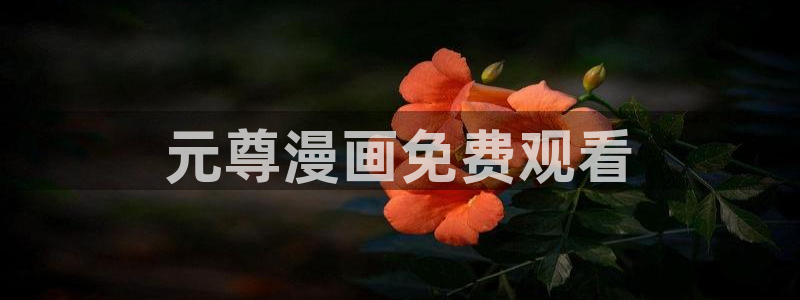 虫虫漫画在线观：元尊漫画免费观看