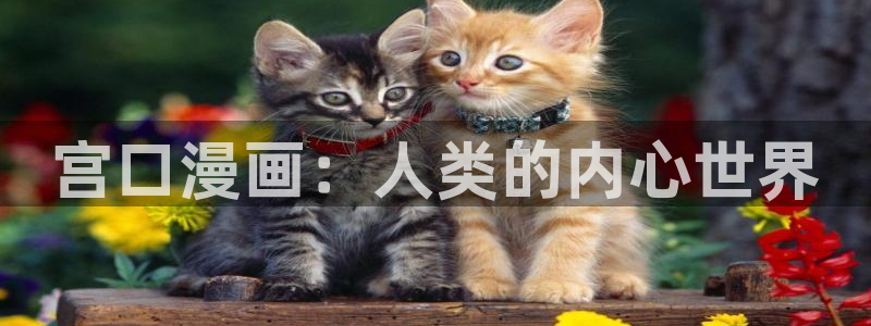 虫虫漫画猎天使魔女：宫口漫画：人类的内心世界