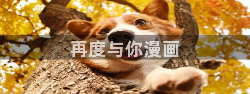 虫虫漫画图：再度与你漫画